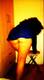 Private Photo of Ramona83