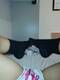 Private Photo of PiediniCameliA-_-