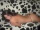 Private Photo of regina85
