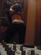 Private Photo of -HotCosplay-